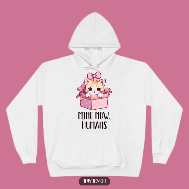 Cozy Funny Cat Peeking Gift Box Hoodie - Warm & Hilarious Cat Lover Gear!